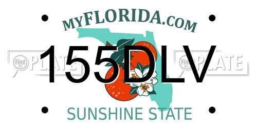 155DLV Florida License Plate