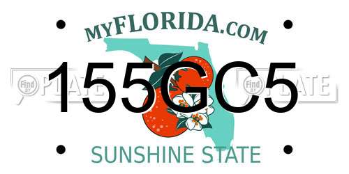 155GC5 Florida License Plate