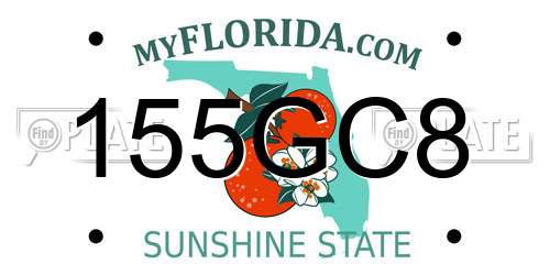 155GC8 Florida License Plate