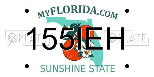 155IEH Florida License Plate