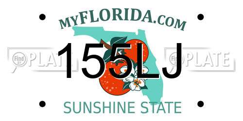 155LJ Florida License Plate