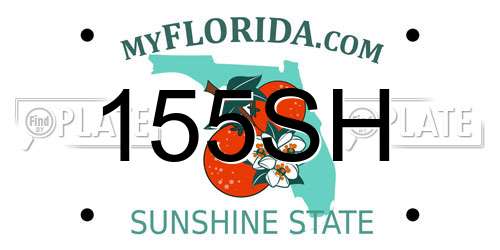 155SH Florida License Plate