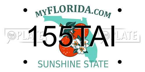 155TAI Florida License Plate