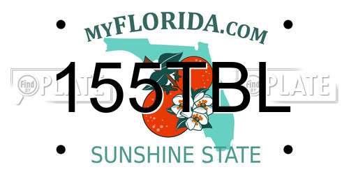 155TBL Florida License Plate