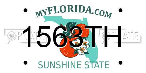 1563TH Florida License Plate