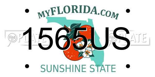1565US Florida License Plate