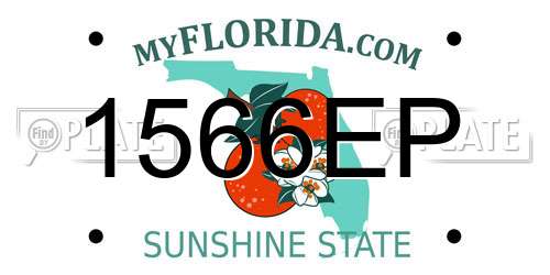 1566EP Florida License Plate