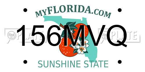 156MVQ Florida License Plate