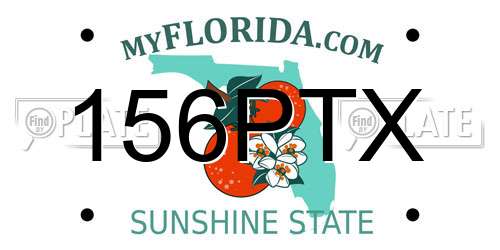 156PTX Florida License Plate