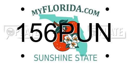 156PUN Florida License Plate