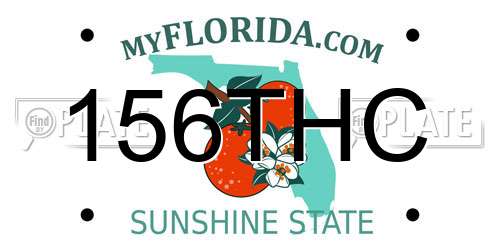 156THC Florida License Plate