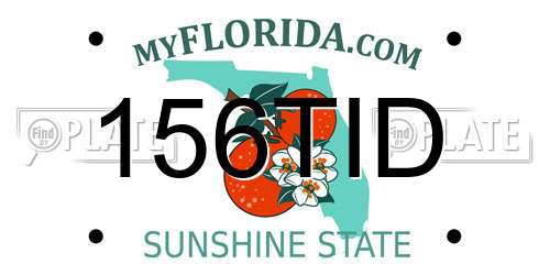 156TID Florida License Plate
