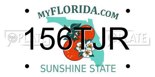 156TJR Florida License Plate