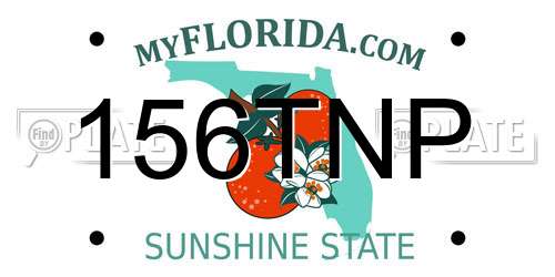 156TNP Florida License Plate