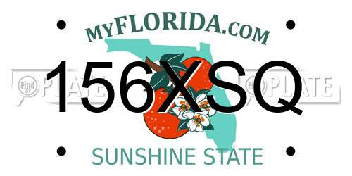 156XSQ Florida License Plate