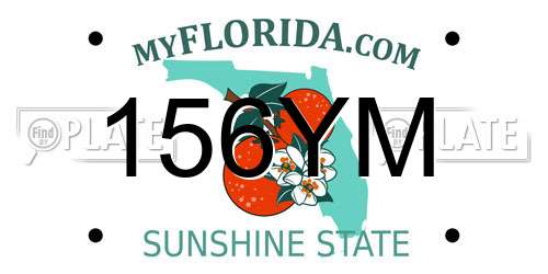 156YM Florida License Plate