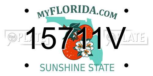15711V Florida License Plate
