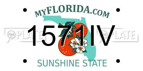 1571IV Florida License Plate