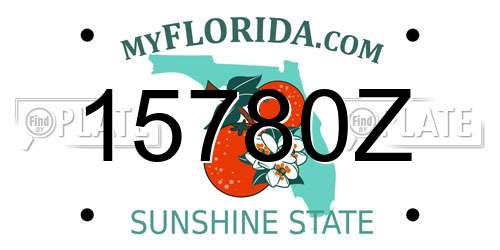 15780Z Florida License Plate