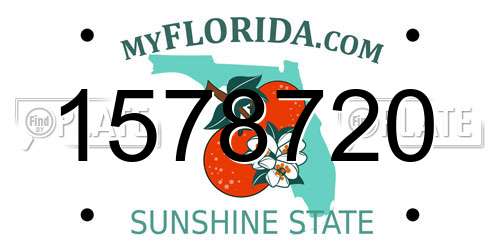 1578720 Florida License Plate