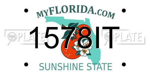 1578IT Florida License Plate