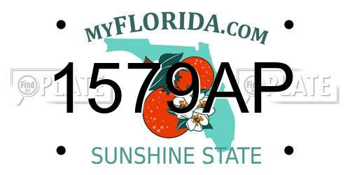 1579AP Florida License Plate