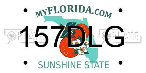 157DLG Florida License Plate