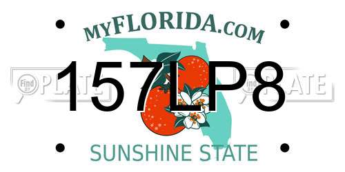 157LP8 Florida License Plate