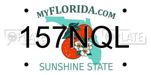 157NQL Florida License Plate