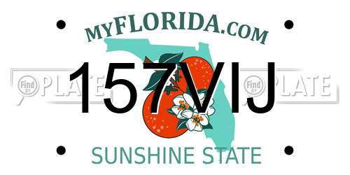 157VIJ Florida License Plate