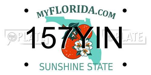 157YIN Florida License Plate