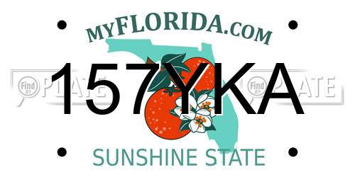 157YKA Florida License Plate
