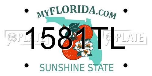 1581TL Florida License Plate