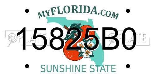 15825B0 Florida License Plate