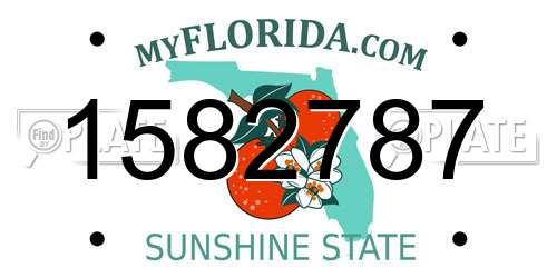 1582787 Florida License Plate