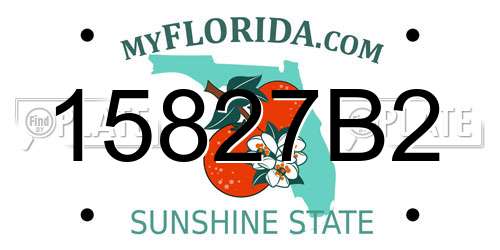 15827B2 Florida License Plate