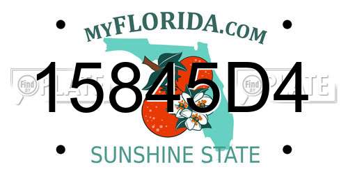 15845D4 Florida License Plate