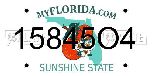 15845O4 Florida License Plate