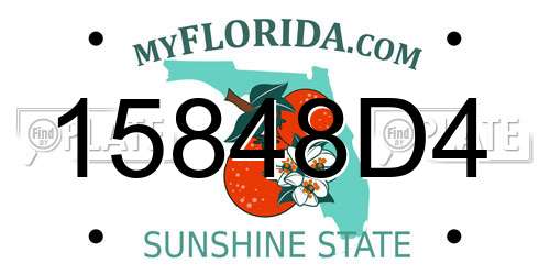 15848D4 Florida License Plate
