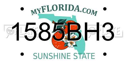 1585BH3 Florida License Plate