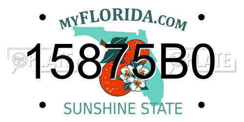 15875B0 Florida License Plate