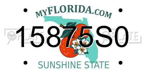 15875S0 Florida License Plate