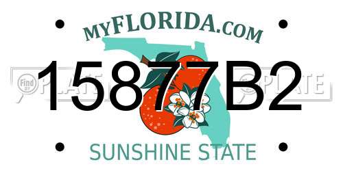 15877B2 Florida License Plate