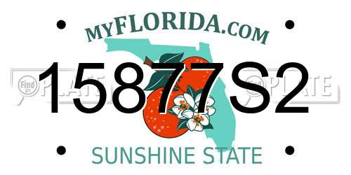 15877S2 Florida License Plate