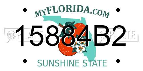 15884B2 Florida License Plate