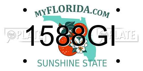 1588GI Florida License Plate