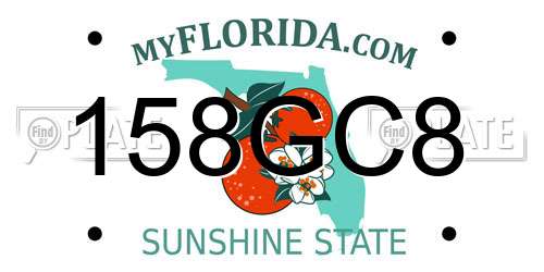158GC8 Florida License Plate