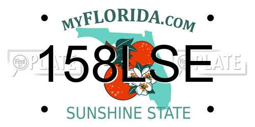 158LSE Florida License Plate