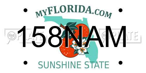 158NAM Florida License Plate