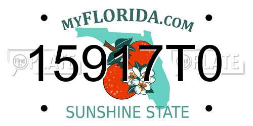 15917T0 Florida License Plate